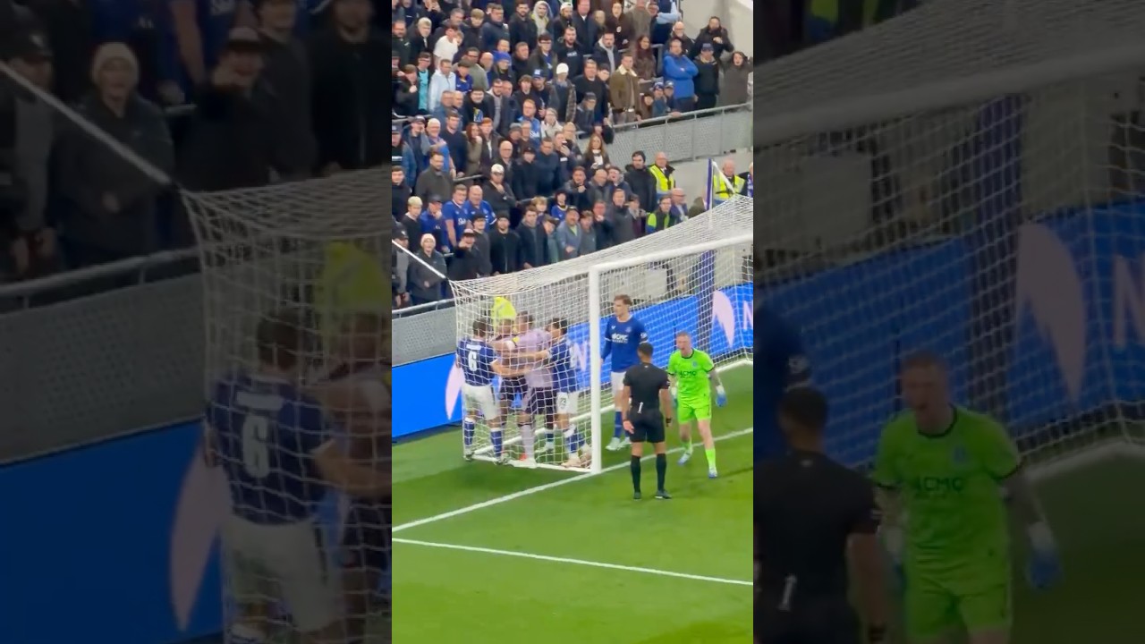 🥊TARKOWSKI AND JOELINTON SCRAP | Everton 3-1 Newcastle United